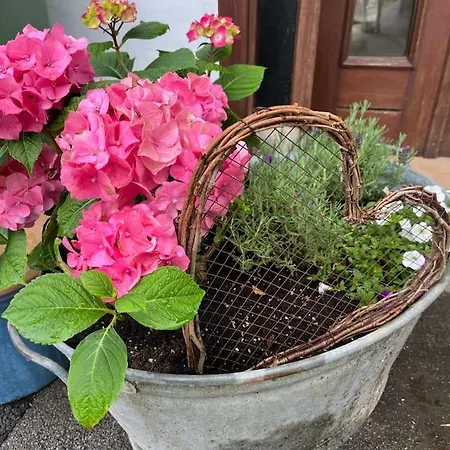 Altes In Der * Detmold