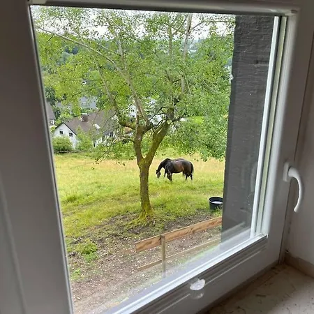 Altes In Der Detmold