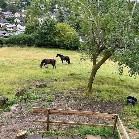 Apartmán Altes In Der Detmold