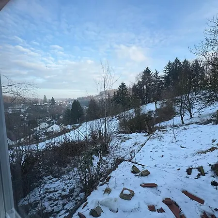 Apartament Altes In Der *
