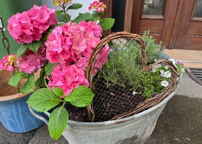 Altes In Der * Detmold