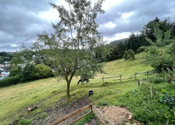 Altes In Der Apartamento